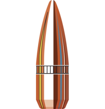 22 Cal .224 55 gr FMJ-BT
